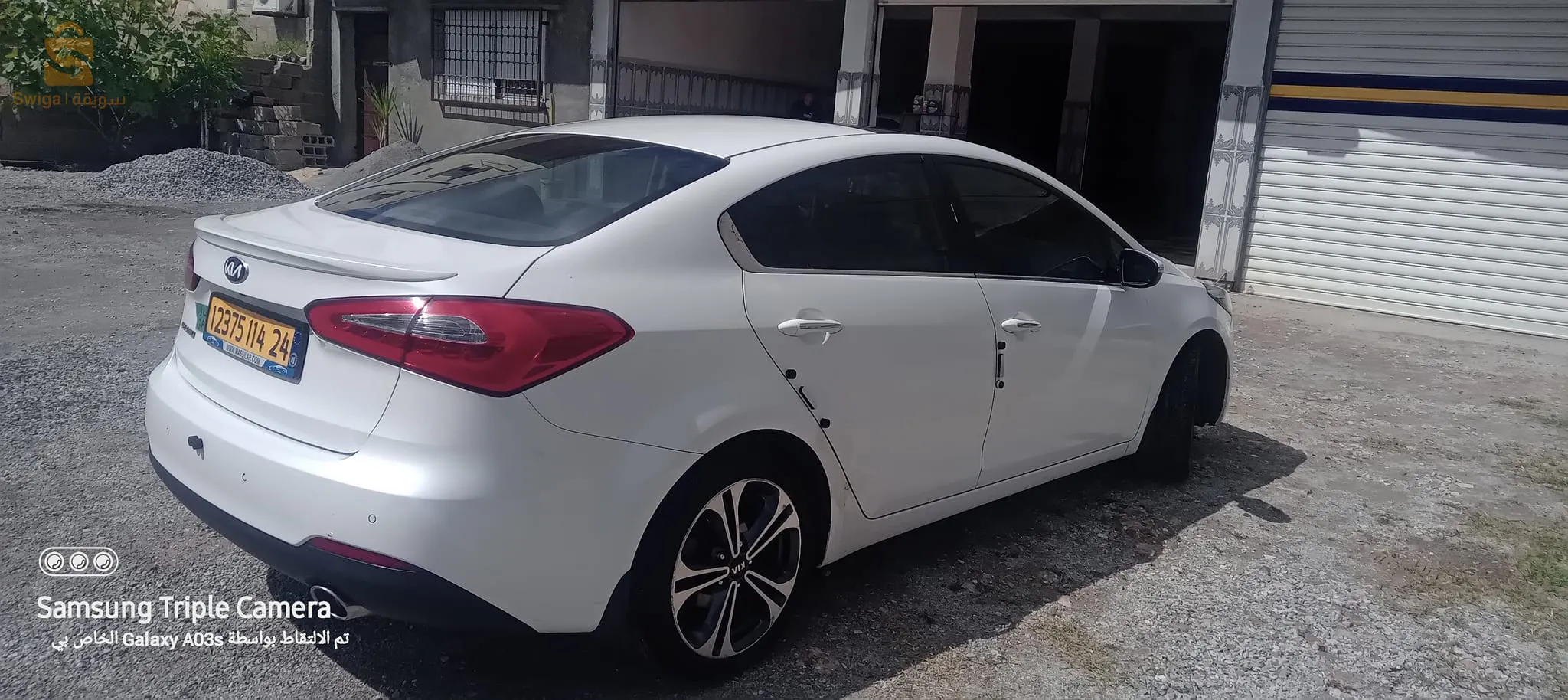cerato