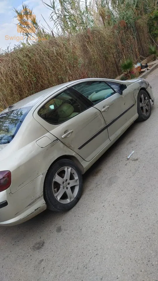 2005 Peugeot 407 hdi 20 la 138