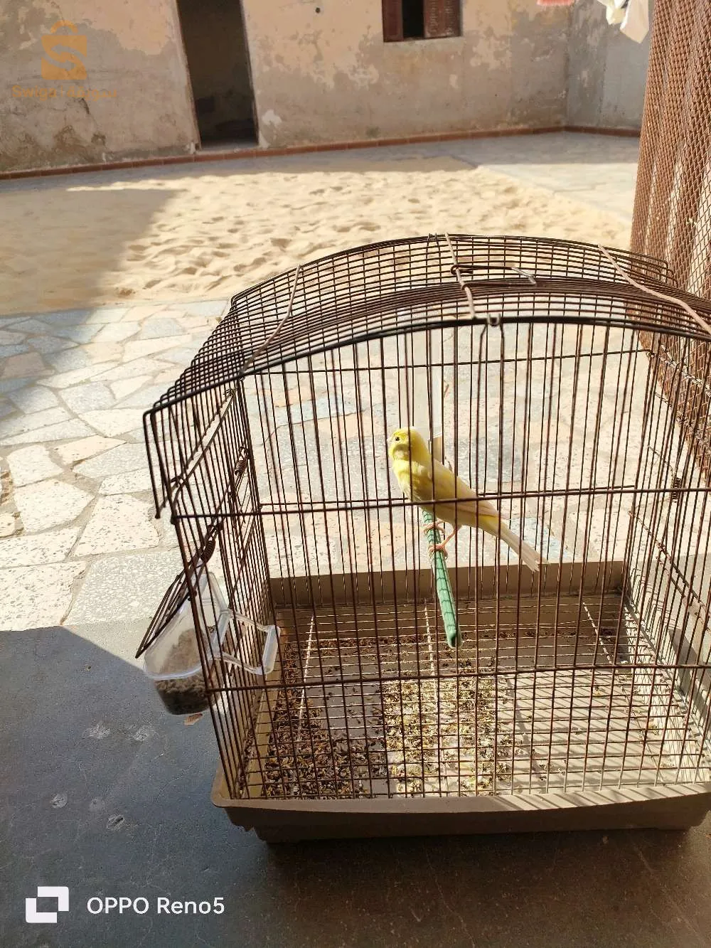 البياضة