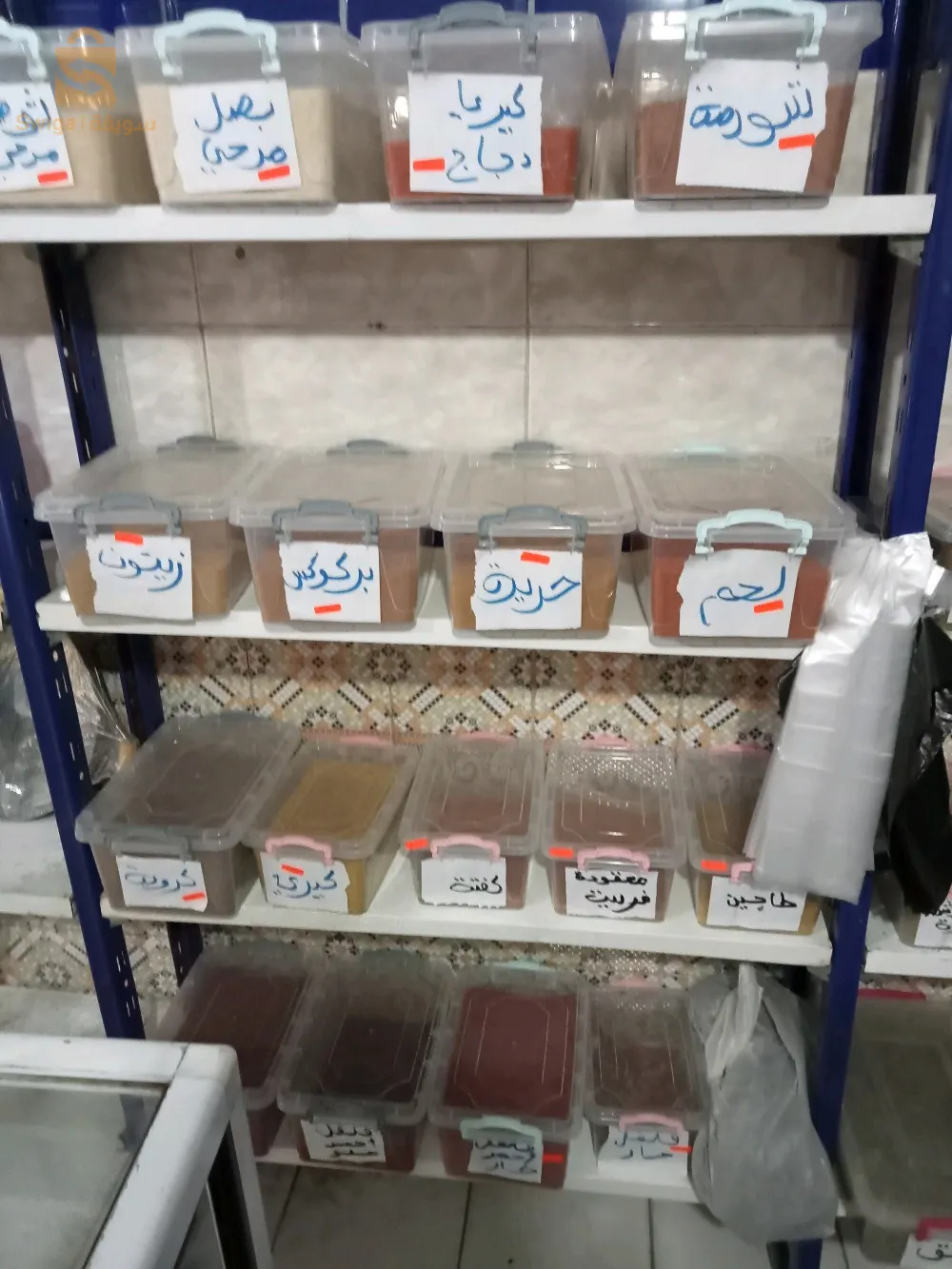 تيارت تيارت
