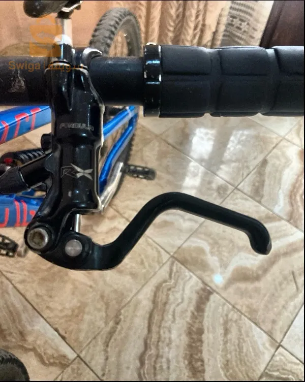 سطيف 600