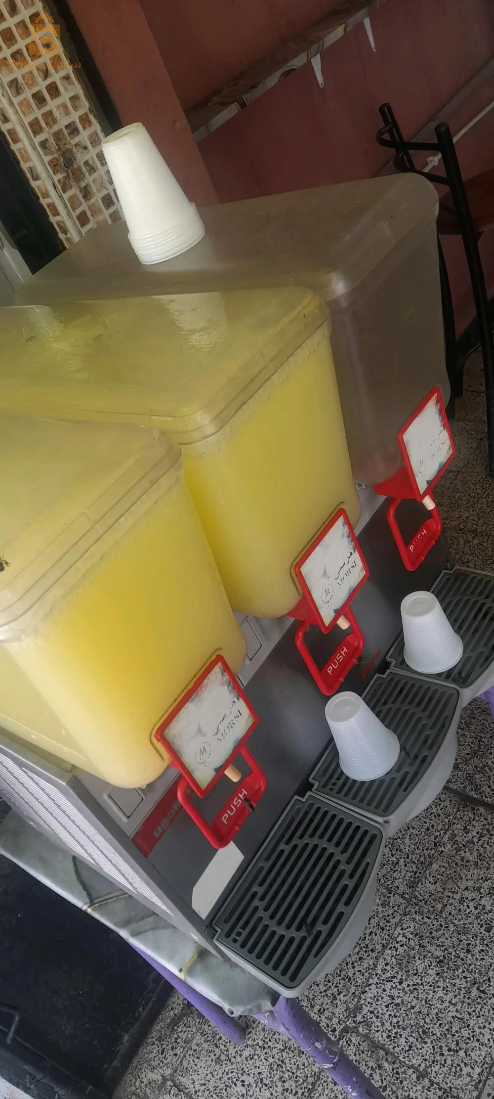 ماشينة تاع الجي  ايقوليني 3 باق