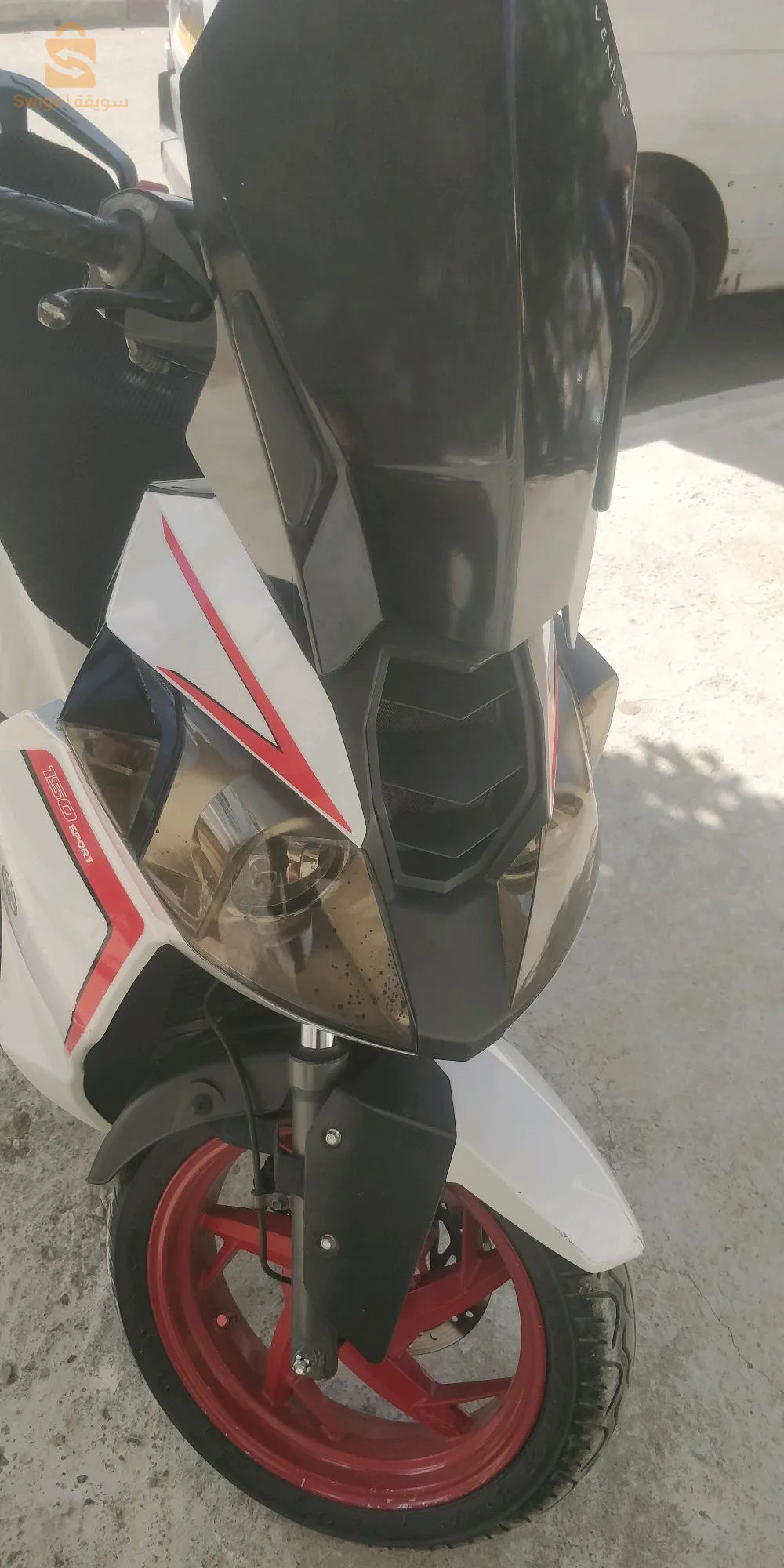 موطو بينيلي 2019 شابة