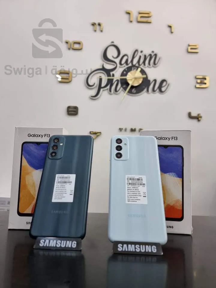 Galaxy F13