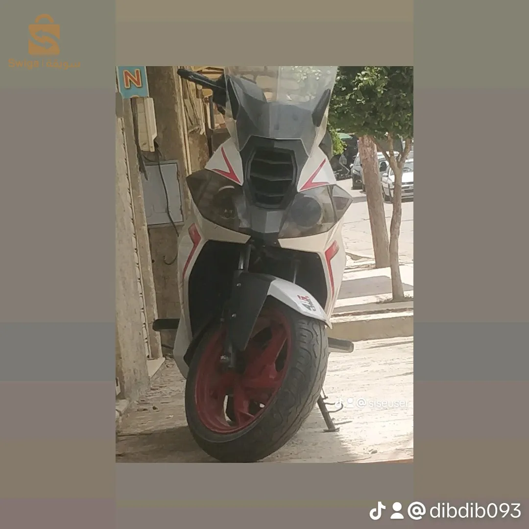 موطو بينيلي 2019 شابة