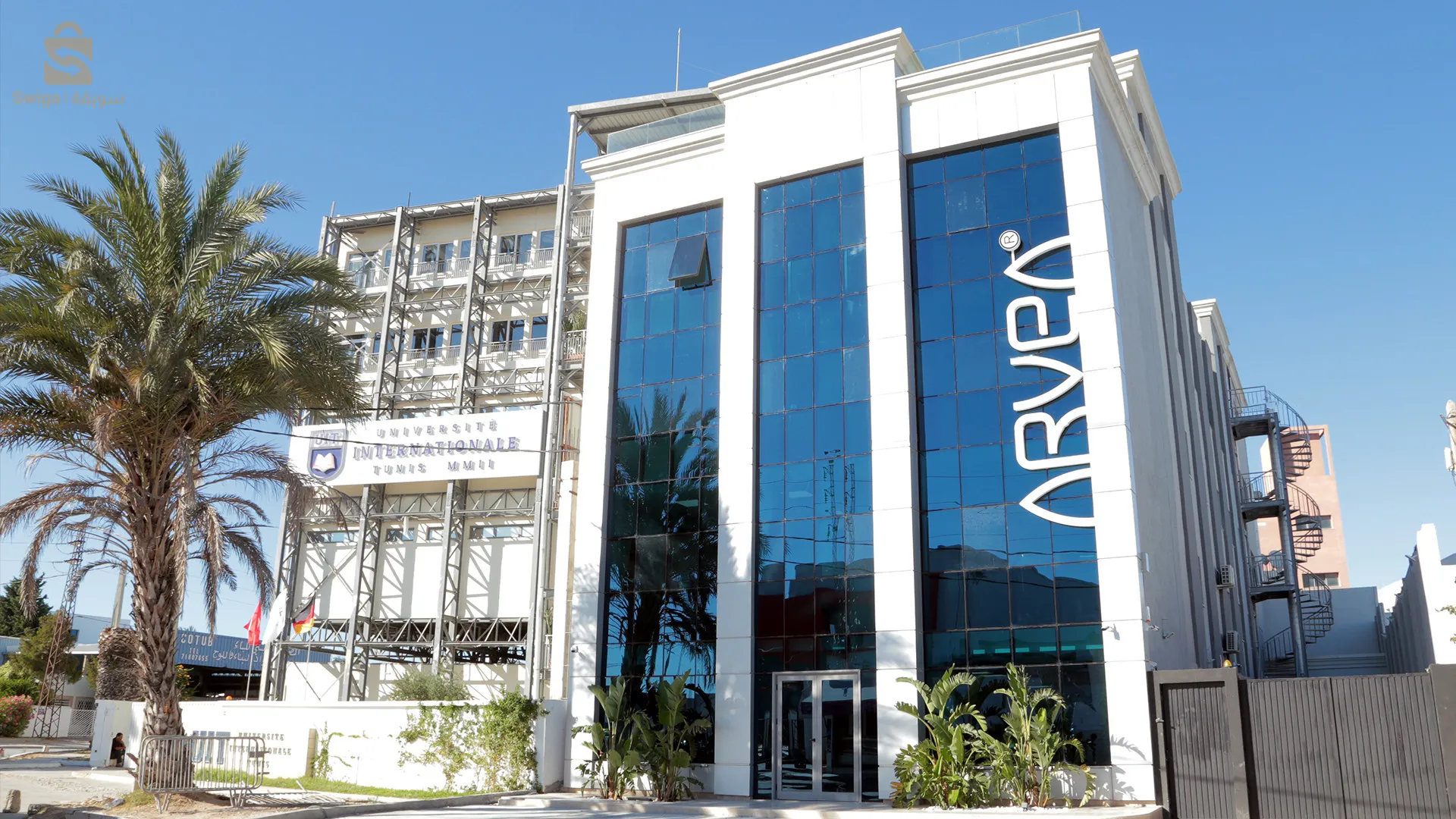 business opportunity