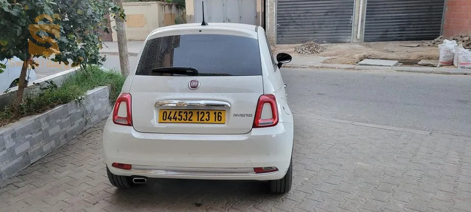 fiat 500 club