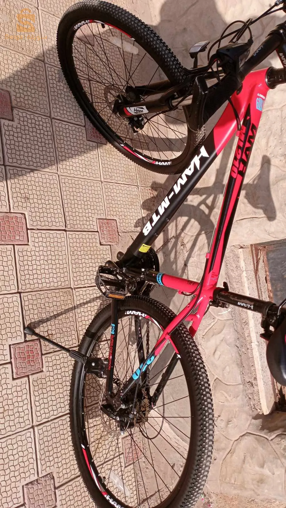 SIDI Bel Abbes rochi