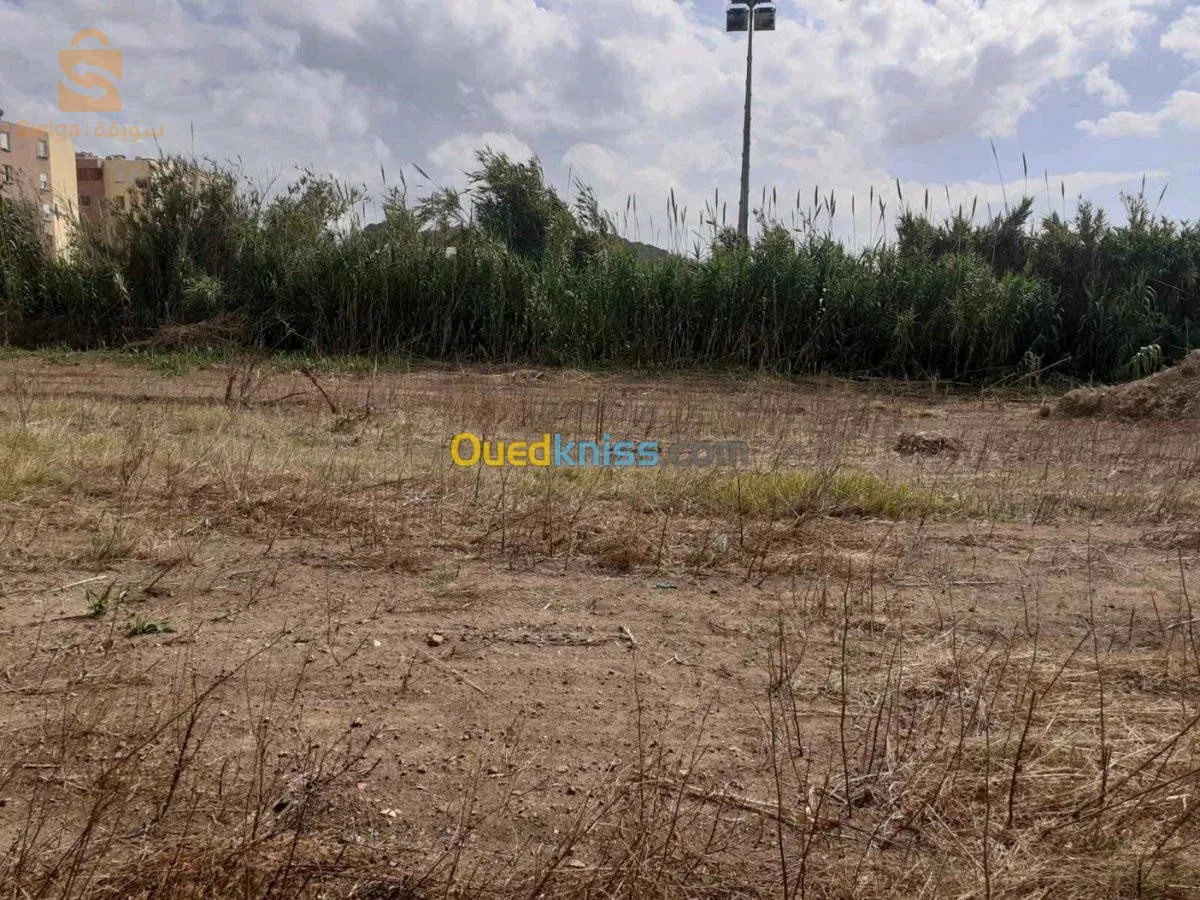 ارض للبيع عطاو 12 المليون للمتر مربع قابلة للتفاوض 11 مليون للمتر نبيع كلش ل 3010