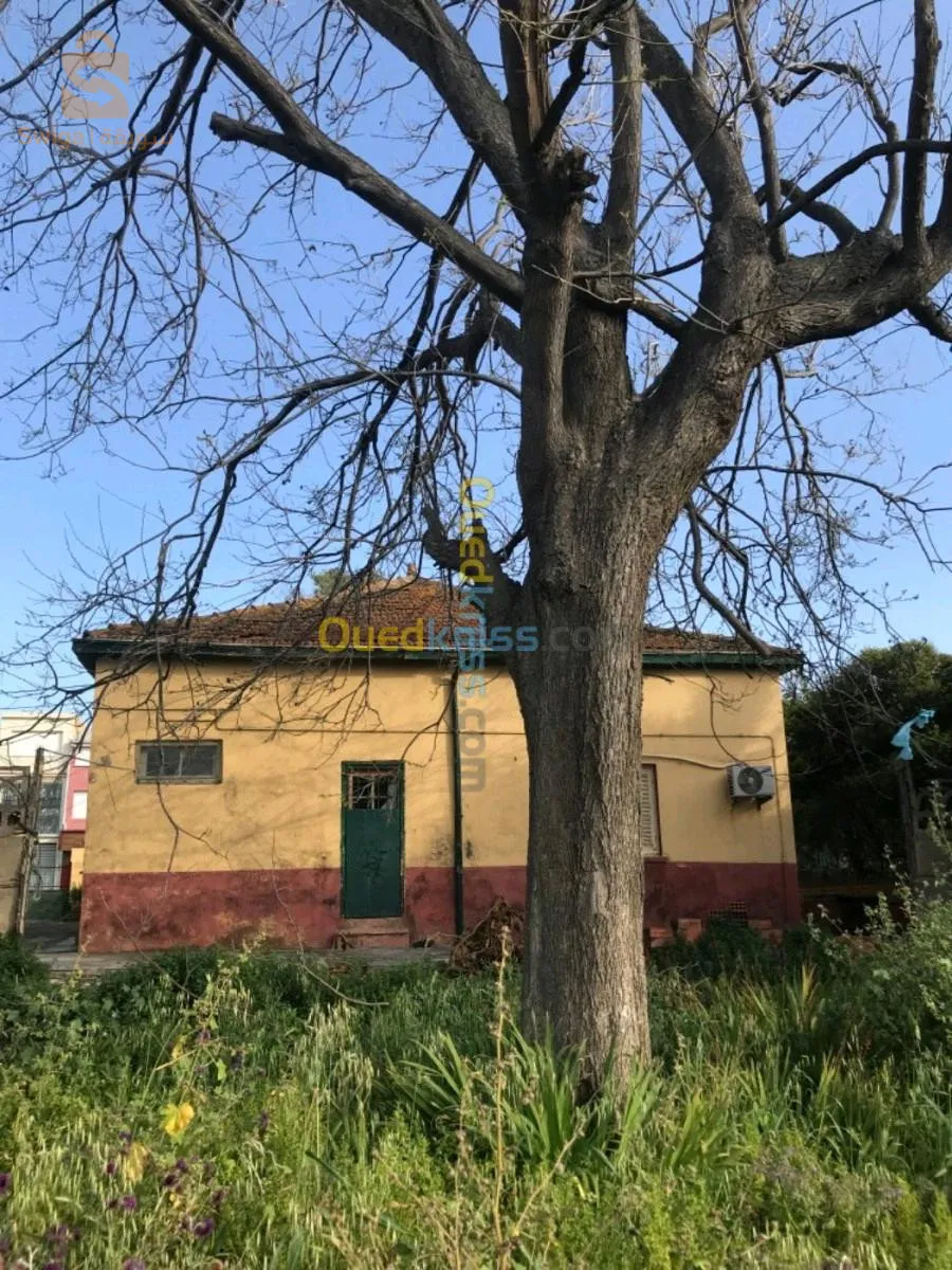 ارض للبيع عطاو 12 المليون للمتر مربع قابلة للتفاوض 11 مليون للمتر نبيع كلش ل 3010