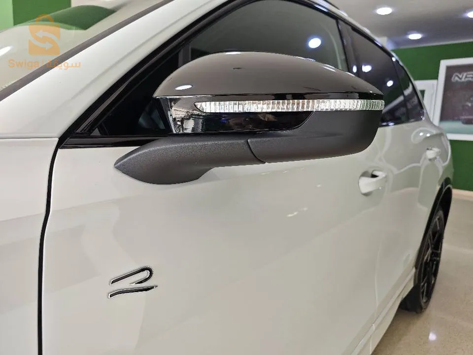 Tiguan 2L 193cv Rline 2024