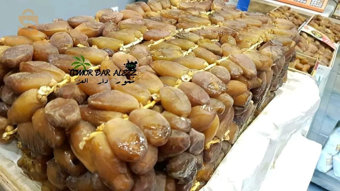 حي الواحات طولقة بسكرة الجزائر