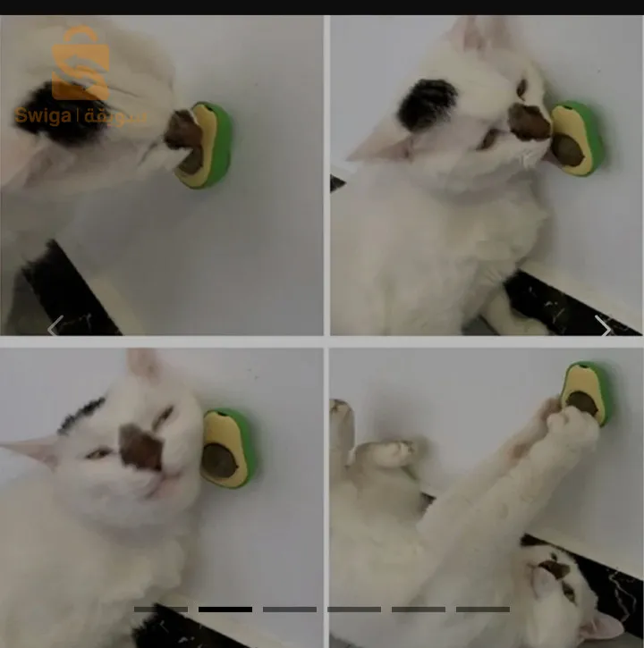 حافظ على صحة قطتك بهذا افكادو