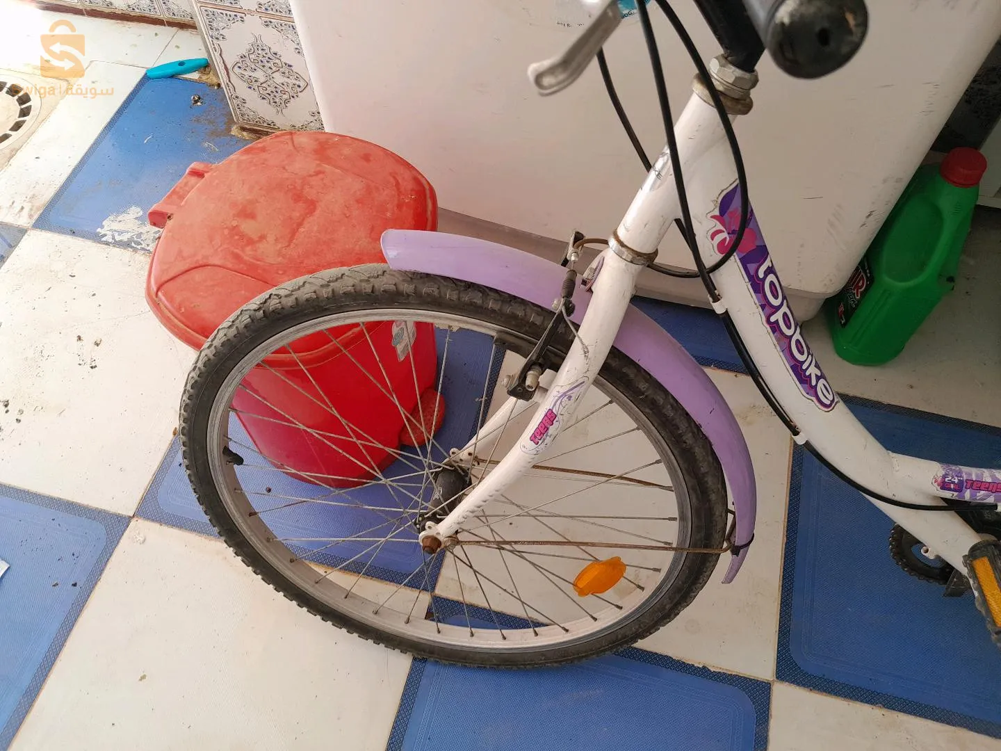 صيادة