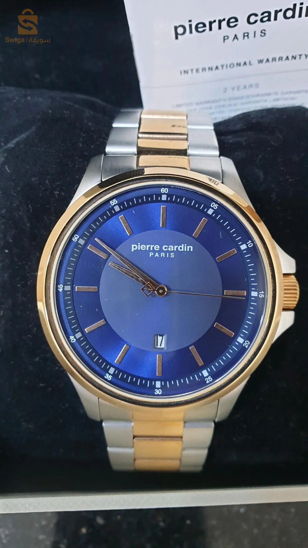 Montre pour Hommes Pierre Cardin