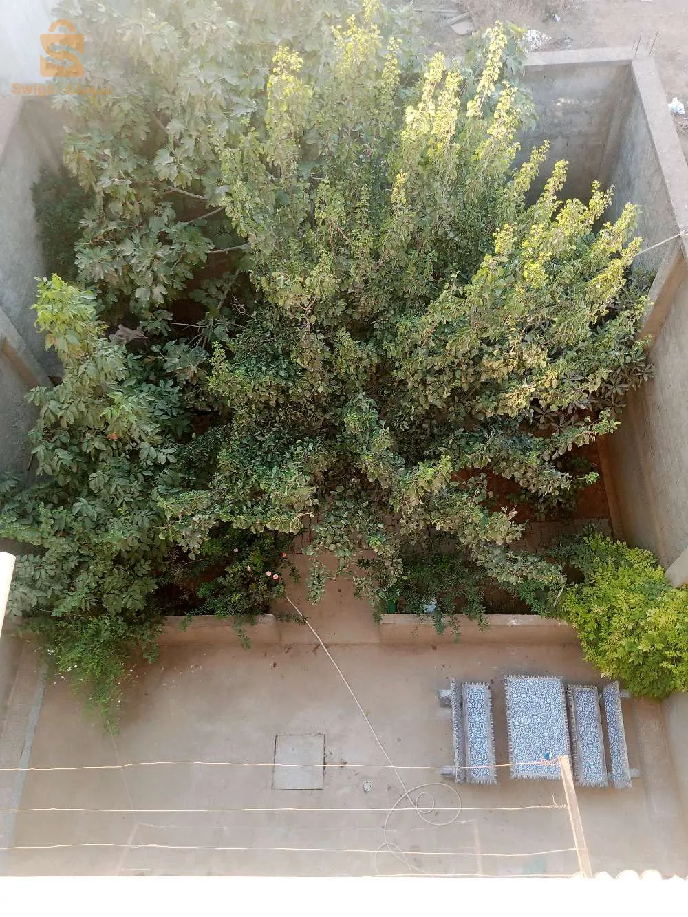دكاكنة دويرة