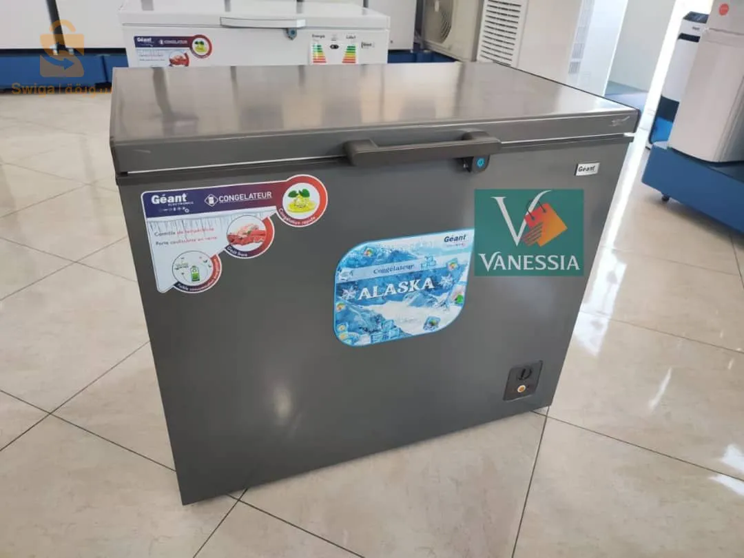 congélateur Géant