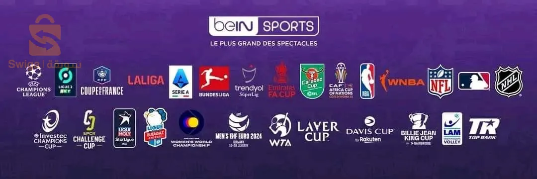 Renewing all server and IPTV subscriptions