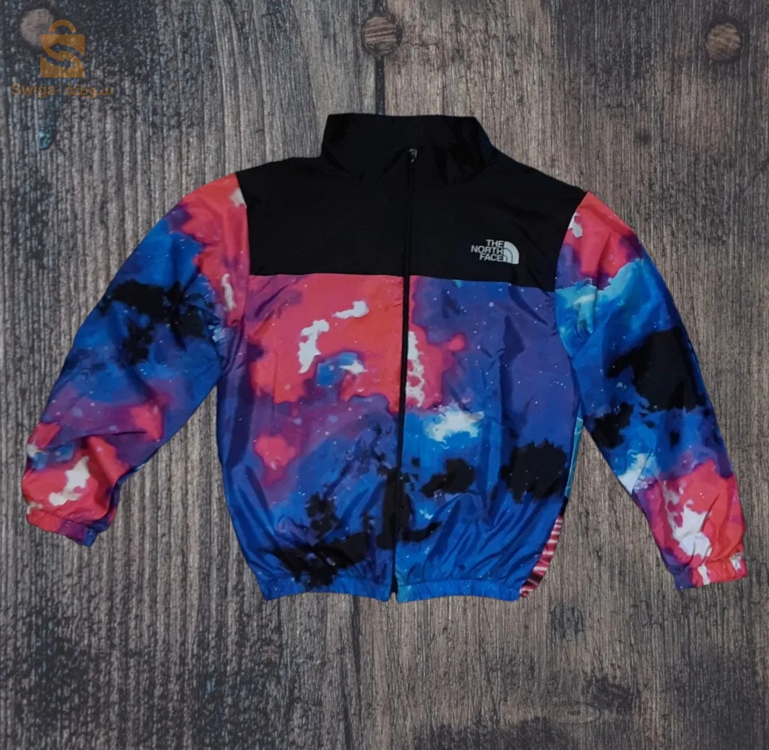 veste the northe face