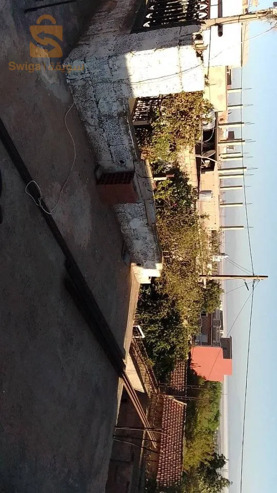 شارع رحو ميلود