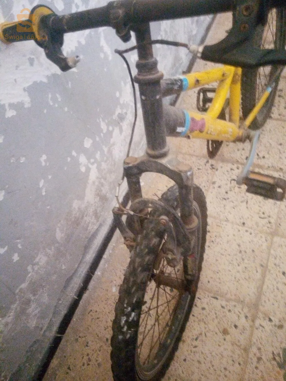 ولاية وهران  بلدية واد تليلات