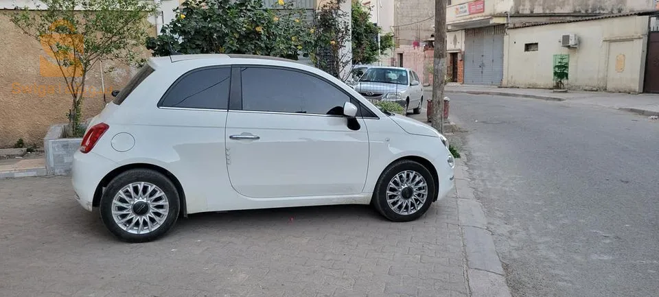 Fiat 500 club