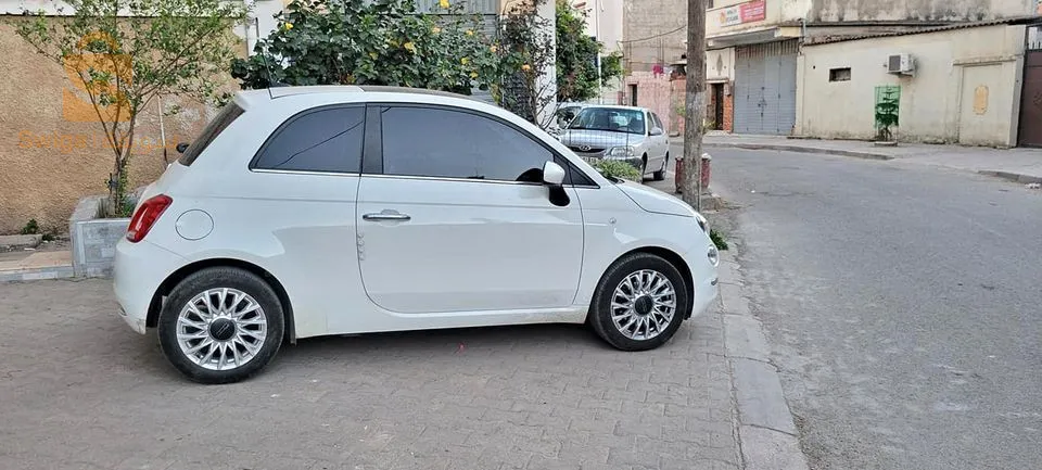 fiat 500 club