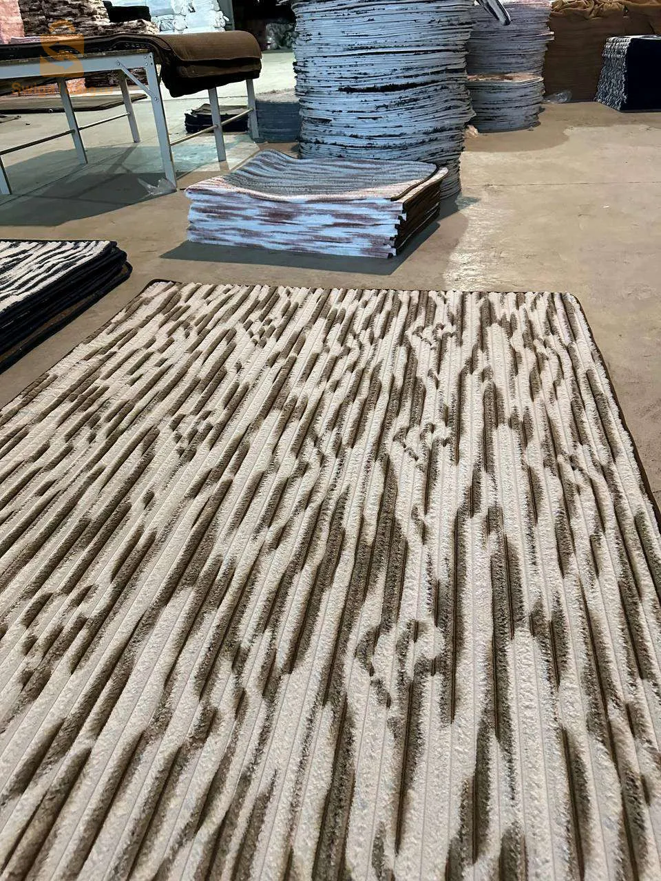 tapis de sa lon et de couloir