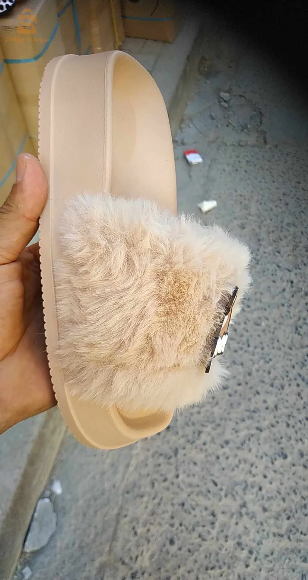 المدية صونطر فيل