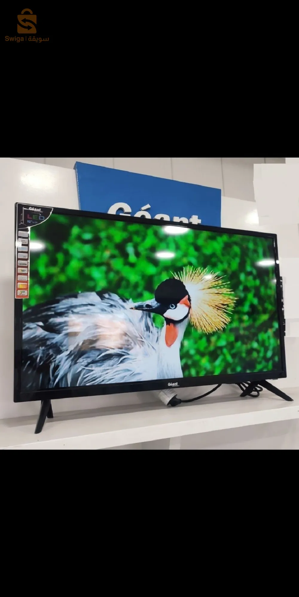 Tv Géant 32 pouces sm