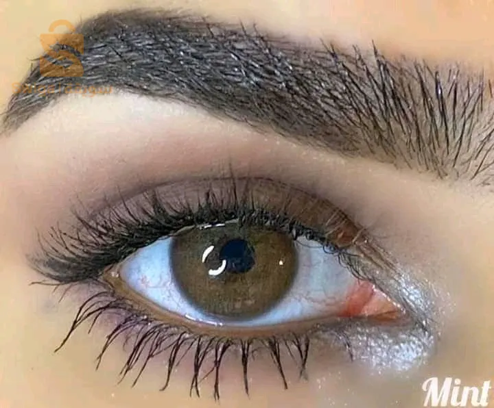 Haifa cosmétics Algérie