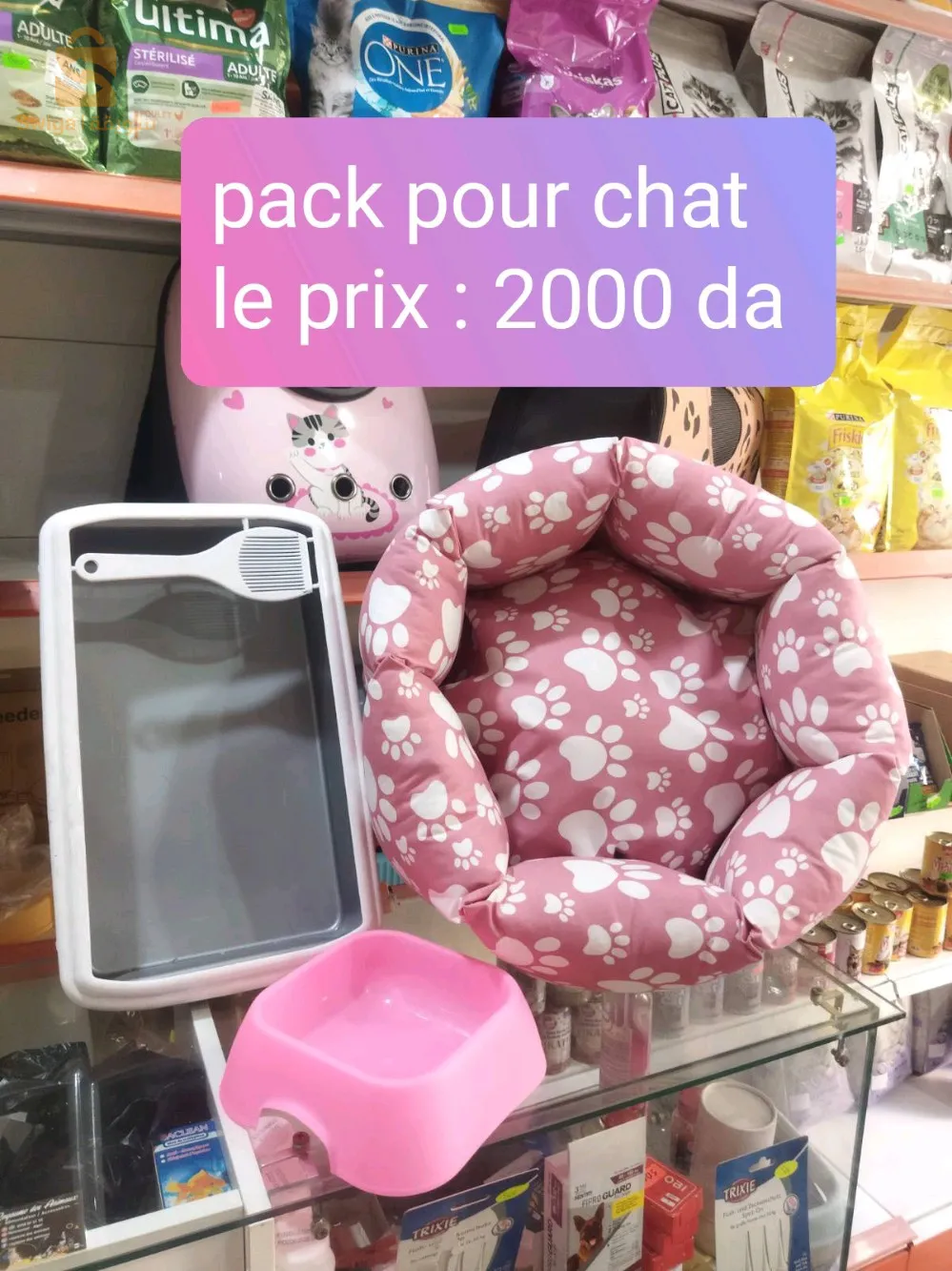 pack pour chat 🐈🐈
