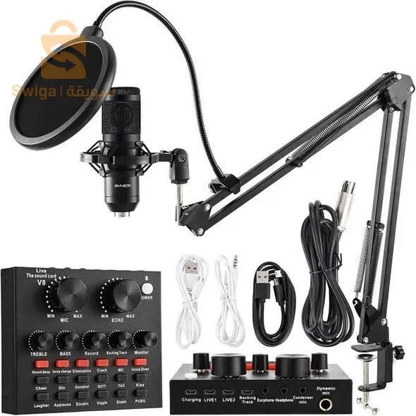 MICROPHONE PROFESSIONEL DJ