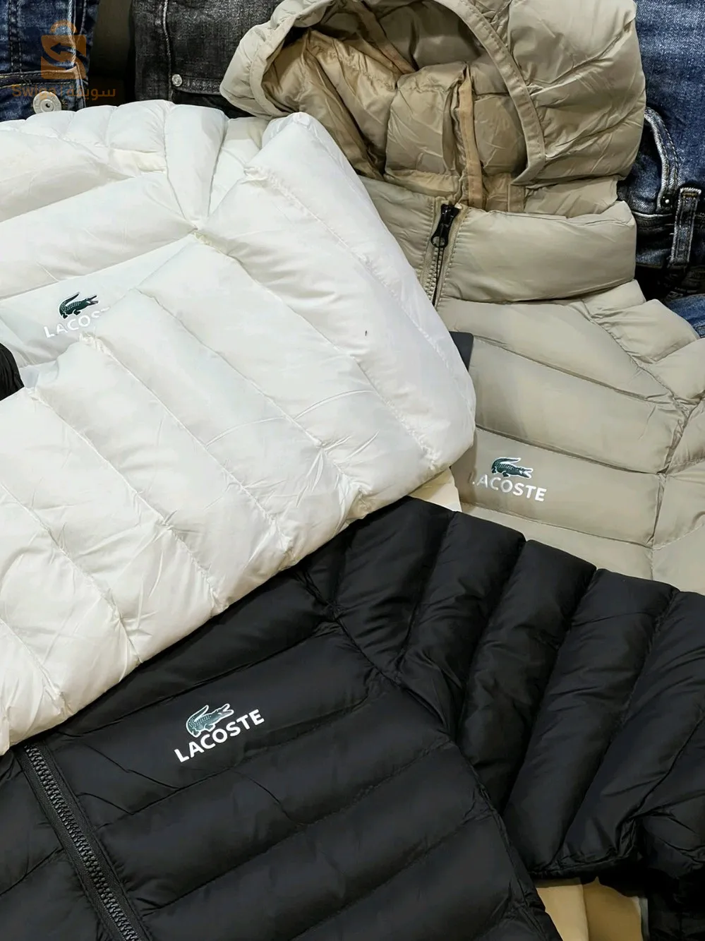 la vest disposable la Costa 🐊