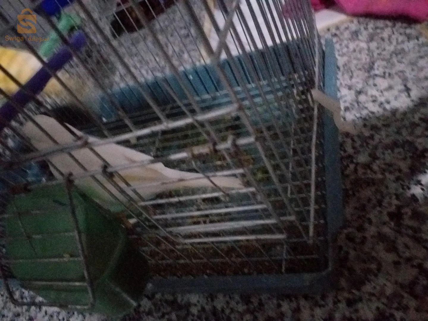 قصر البخاري