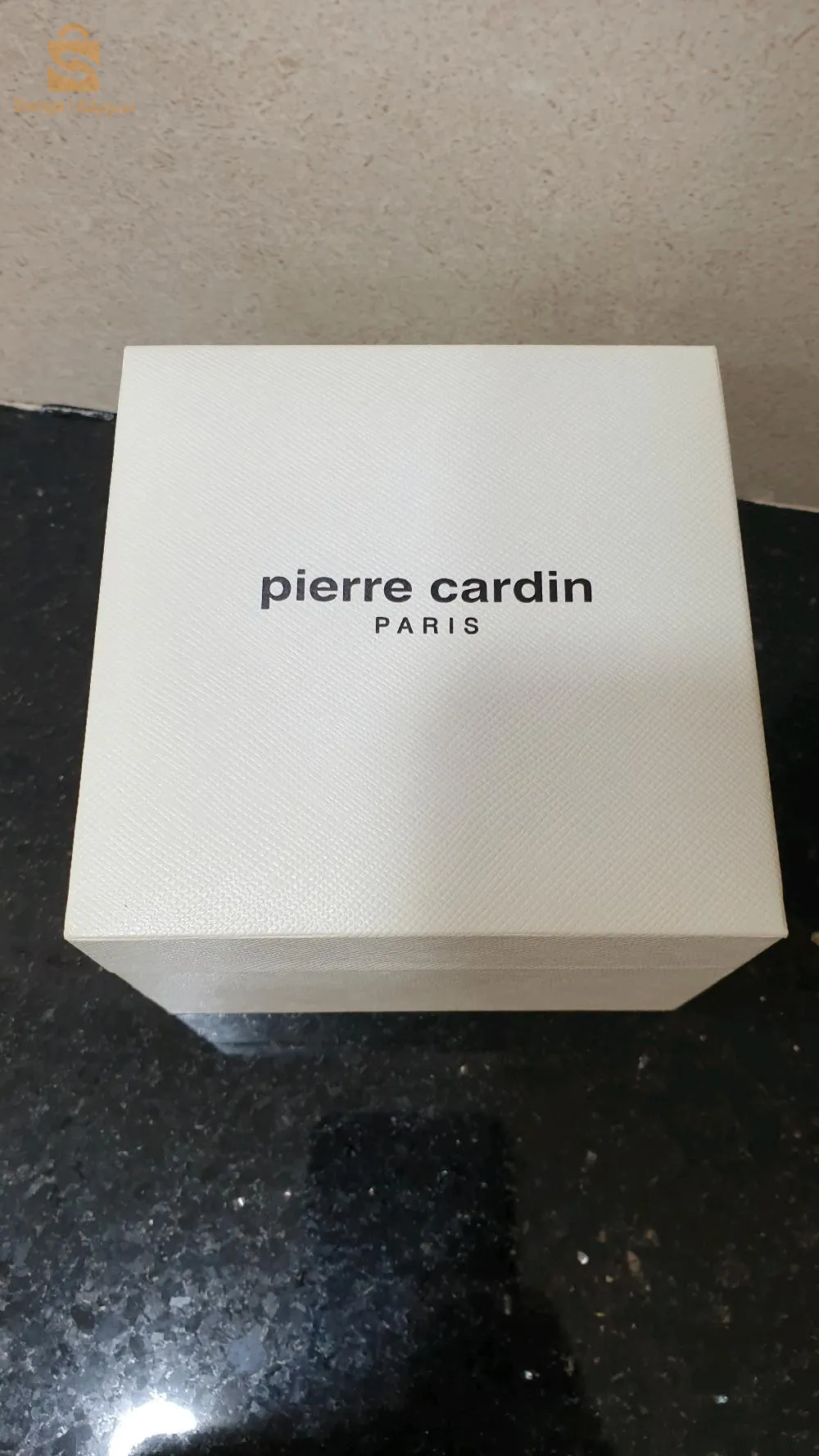 Montre pour Hommes Pierre Cardin