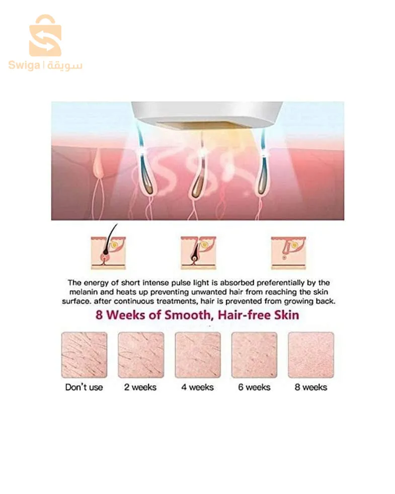 الجزائر العاصمة