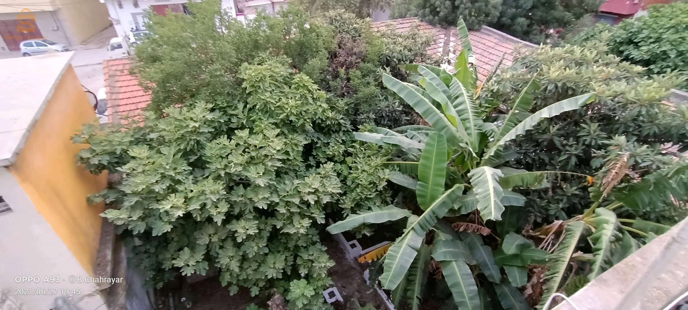 المقر في حي لرنجري