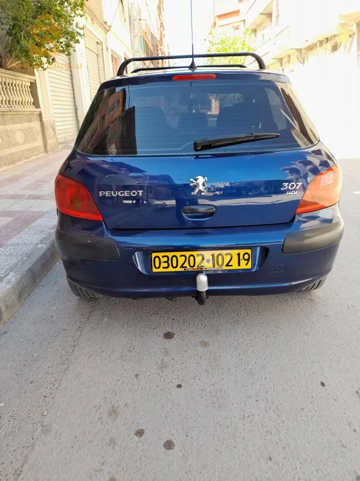 Peugeot 307