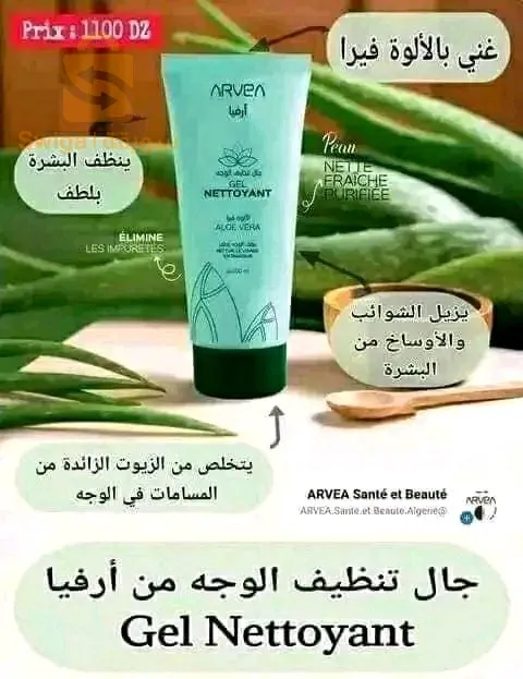 بوقرة بليدة