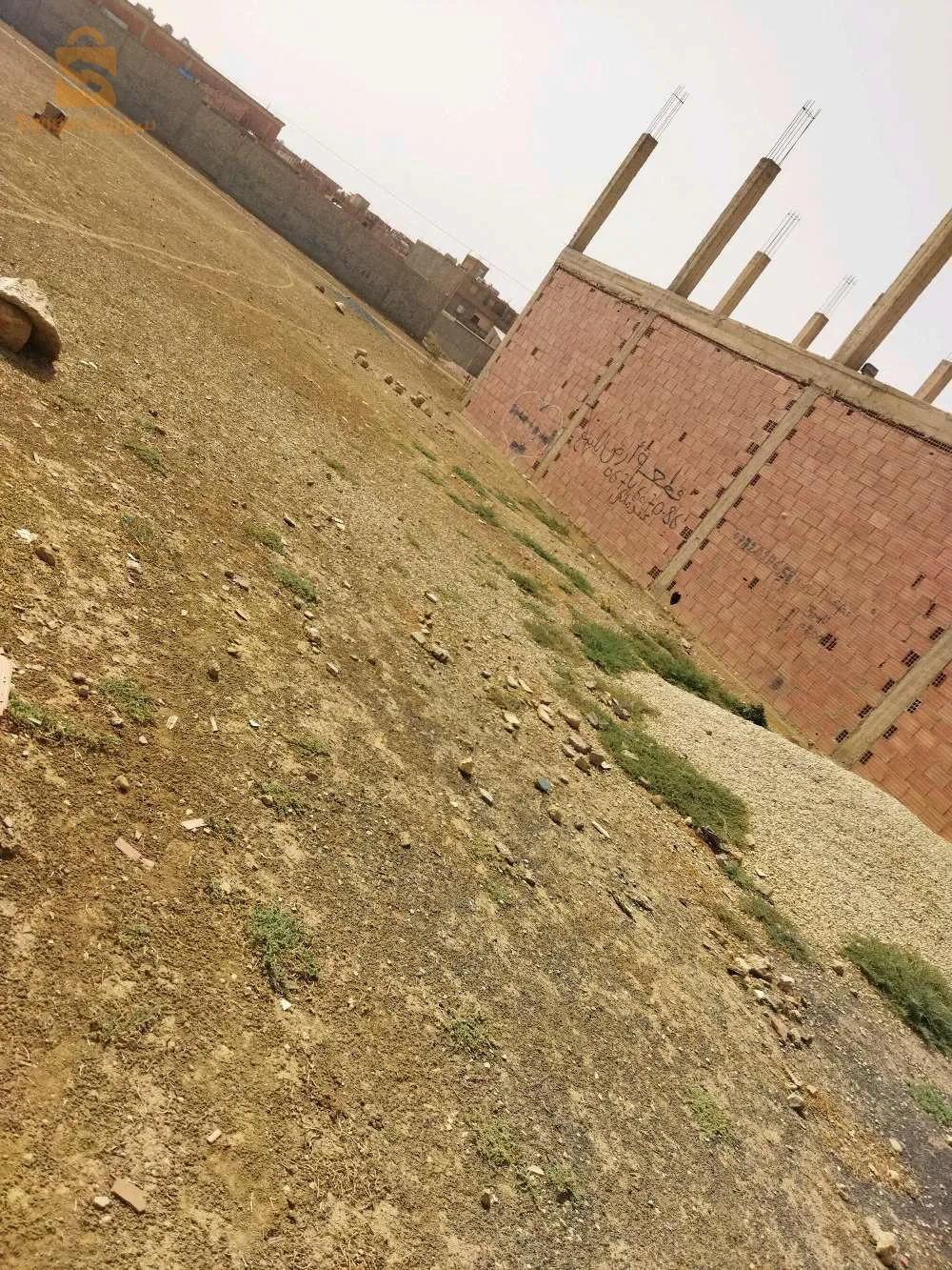 في اولاد مسلم