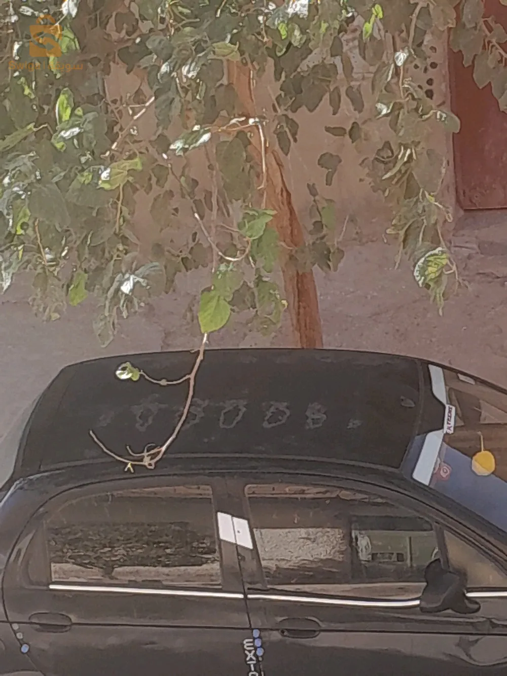 عين وسارة 0671651957