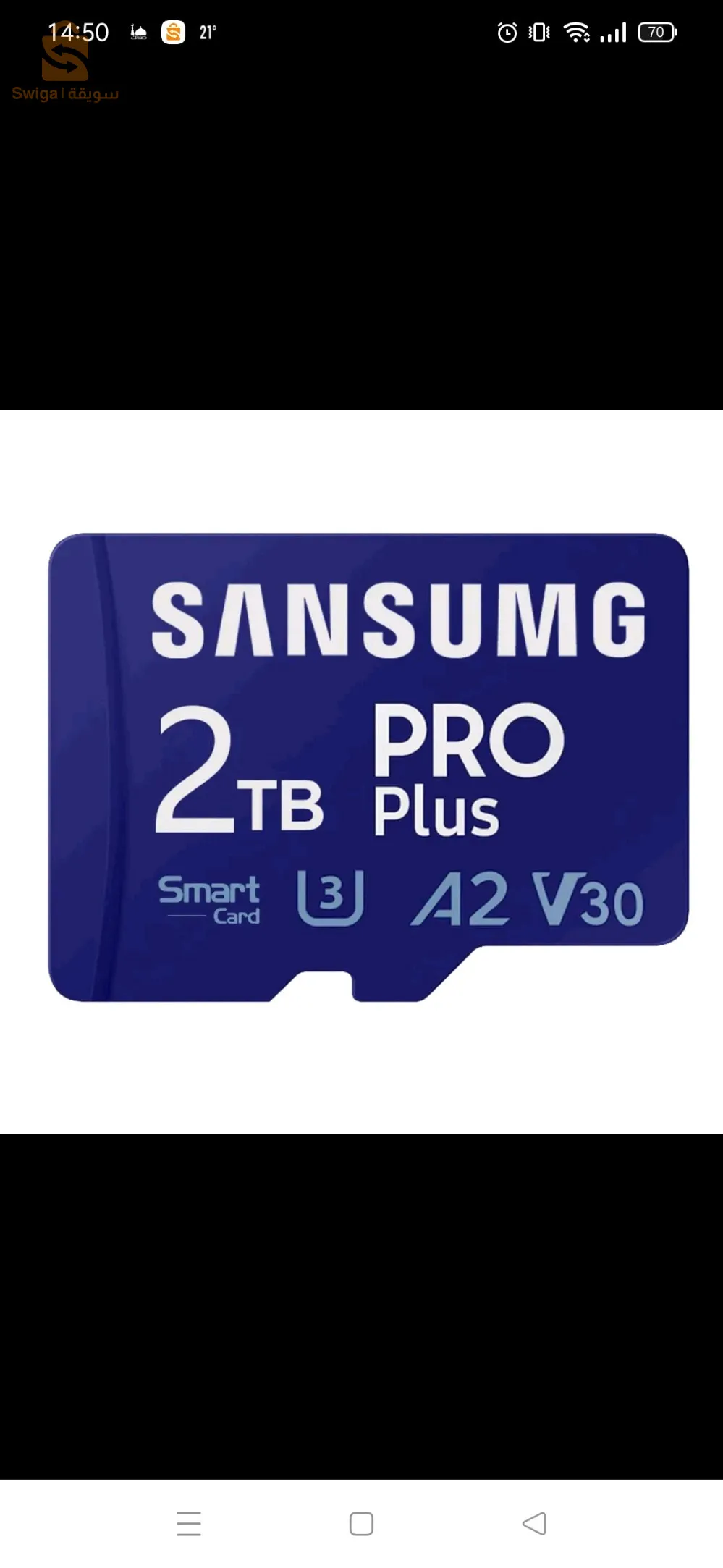 شلغوم العيد