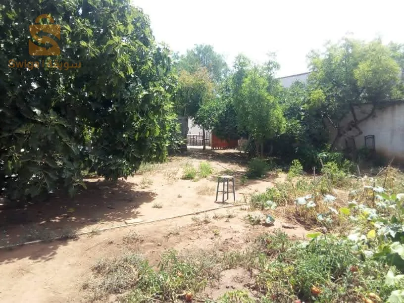 نهج طريق البحر  بلدية تارقة ولاية عين تموشنت