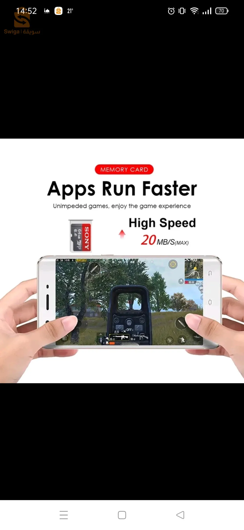 شلغوم العيد