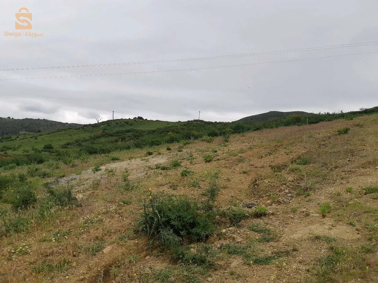 lot de terrain