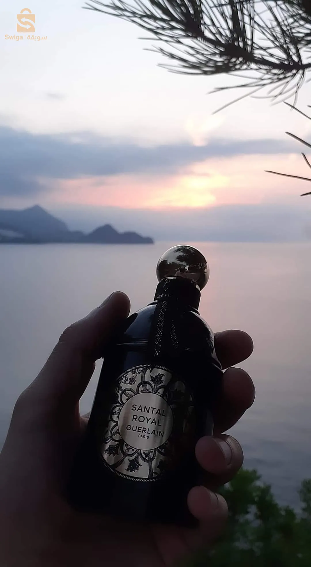 santal royal guerlain