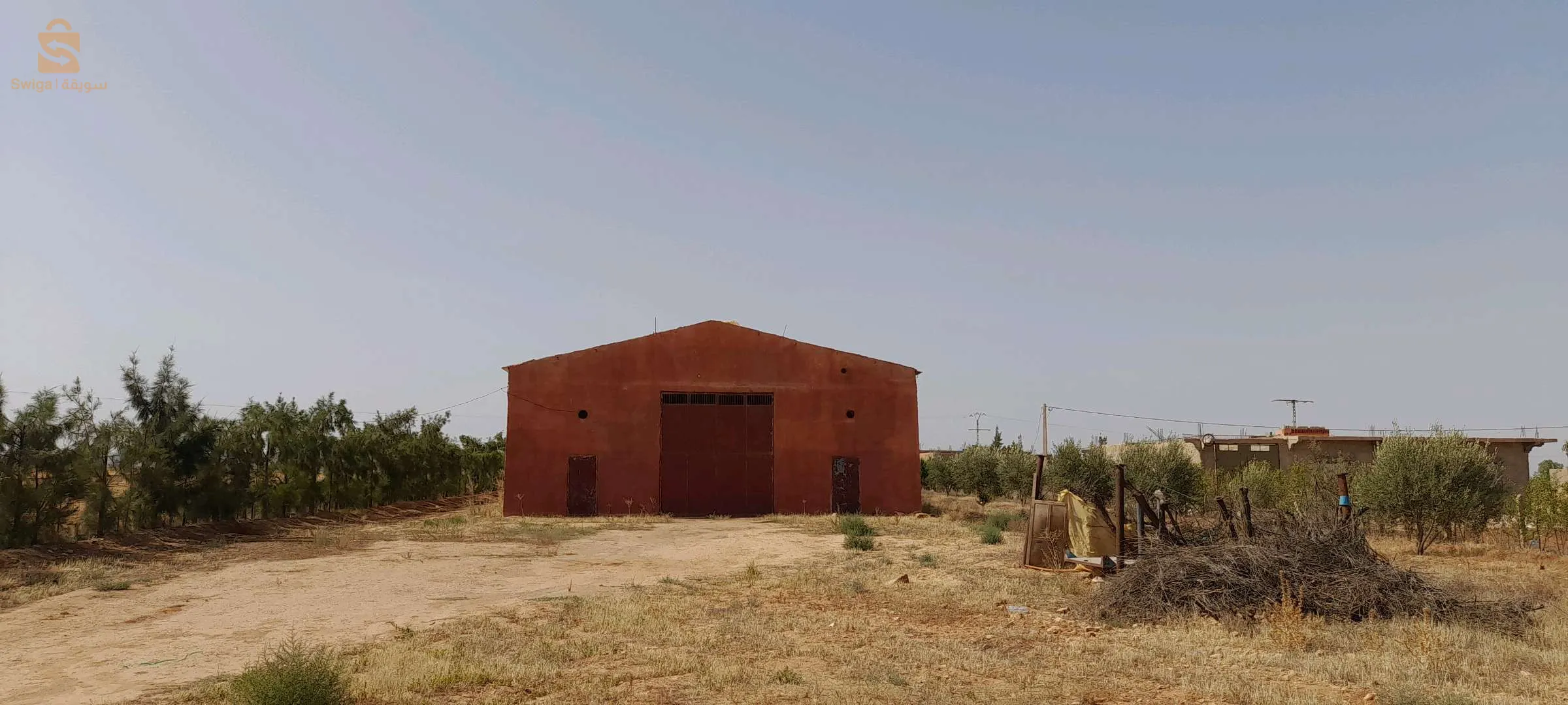 دوار سيدي الصافي تغنيف معسكر  مقابل شركة هنو سيراميكا