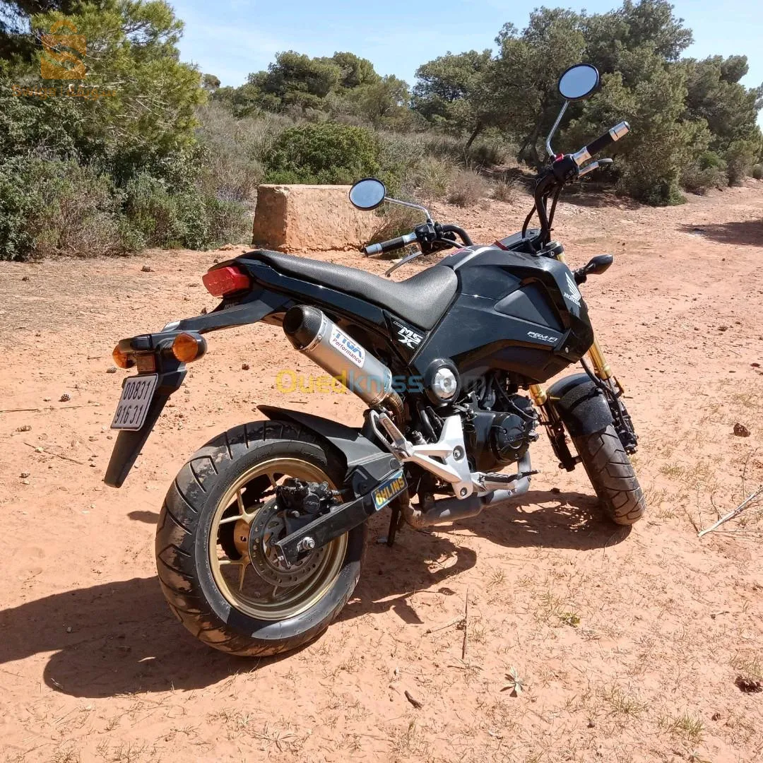 البويرة سونتر 0557779962