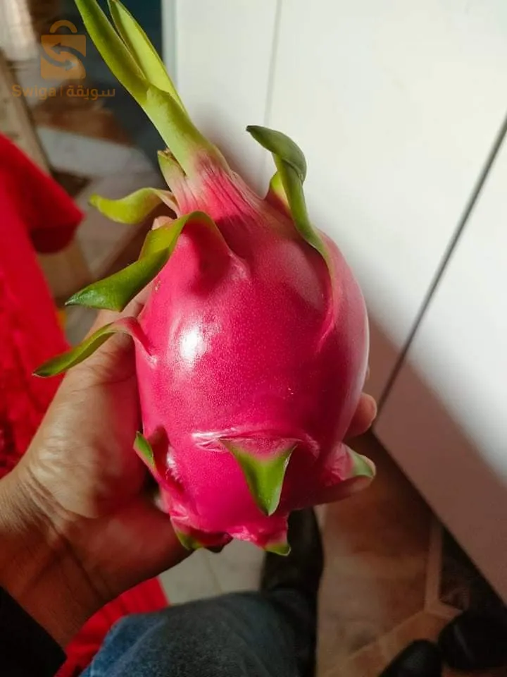 فاكهة التنين